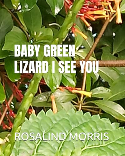 BABY GREEN LIZARD, I SEE YOU von Independently published
