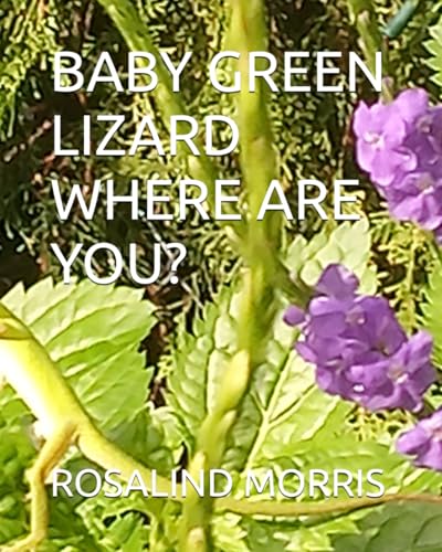 BABY GREEN LIZARD WHERE ARE YOU? von Independently published