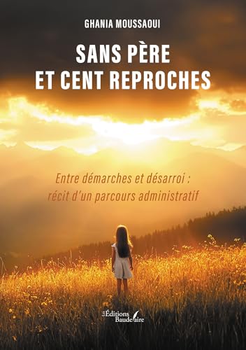 Sans père et cent reproches: Entre démarches et désarroi : récit d'un parcours administratif von BAUDELAIRE