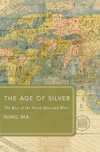 The Age of Silver: The Rise of the Novel East and West (Global Asias) von Oxford University Press, USA