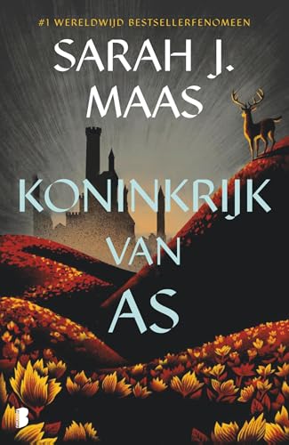 Koninkrijk van as: Deel 7 Glazen troon-serie (Glazen troon, 7) von Boekerij
