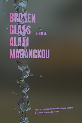 Broken Glass: A Novel