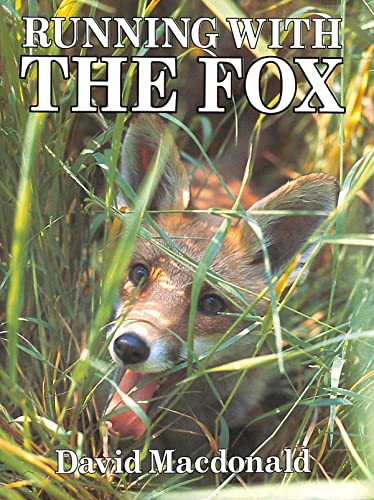 Running with the Fox