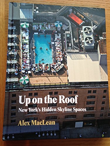 Up on the Roof: New York's Hidden Skyline Spaces