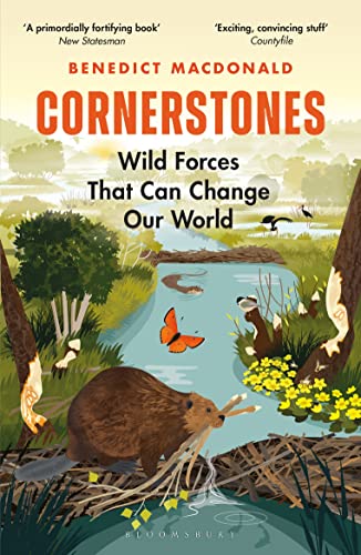 Cornerstones: Wild Forces That Can Change Our World von Bloomsbury Wildlife