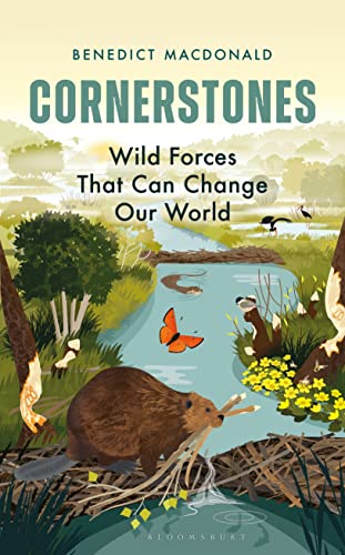Cornerstones: Wild Forces That Can Change Our World von Bloomsbury