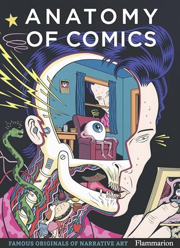Anatomy of Comics: Famous Originals of Narrative Art Anatomy of Comics: Famous Originals of Narrative Art von Flammarion