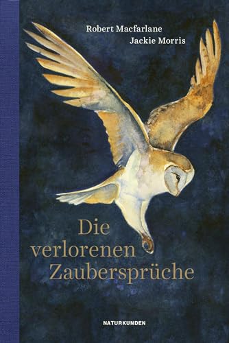 Die verlorenen Zaubersprüche (Naturkunden) von Matthes & Seitz Berlin