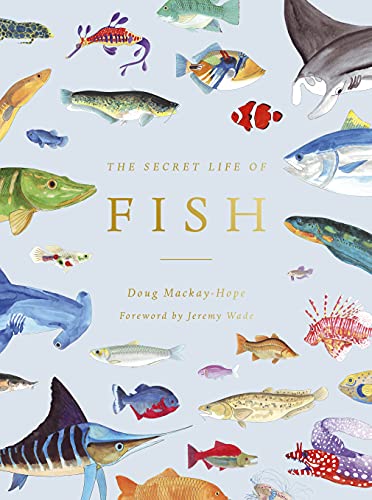 The Secret Life of Fish: The Astonishing Truth about our Aquatic Cousins von Ivy Press