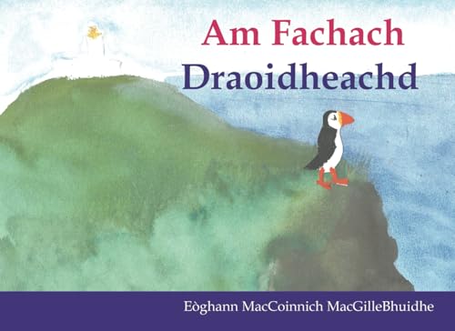 Am Fachach Draoidheachd von Akerbeltz