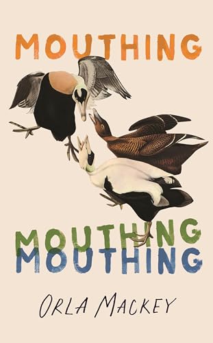 Mouthing: The bestselling Irish debut novel of the summer von Hamish Hamilton