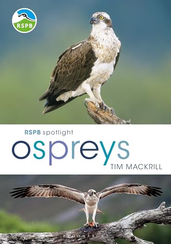 RSPB Spotlight Ospreys von Bloomsbury