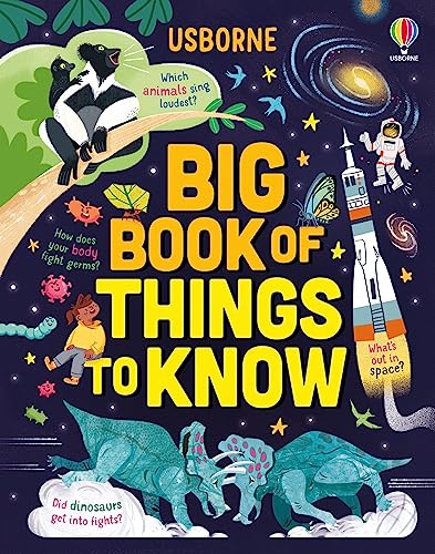 Big Book of Things to Know: A Fact Book for Kids (Lots of Things to Know) von Usborne GB