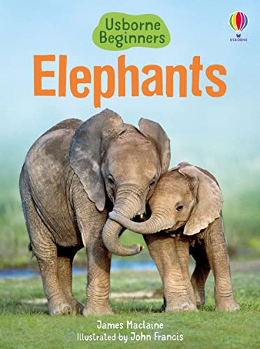 Elephants (Beginners)