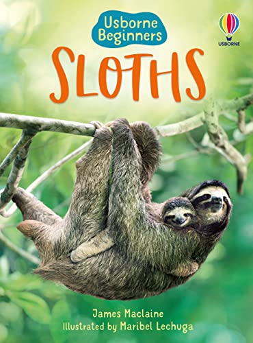 Sloths (Beginners) von Usborne