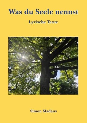 Was du Seele nennst: Lyrische Texte