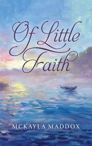 Of Little Faith Of Little Faith von Palmetto Publishing