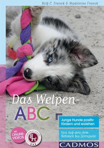 Das Welpen-ABC Junge Hunde positiv fördern und erziehen: Von Auf-den-Arm-Nehmen bis Zerrspiele von Cadmos Verlag GmbH