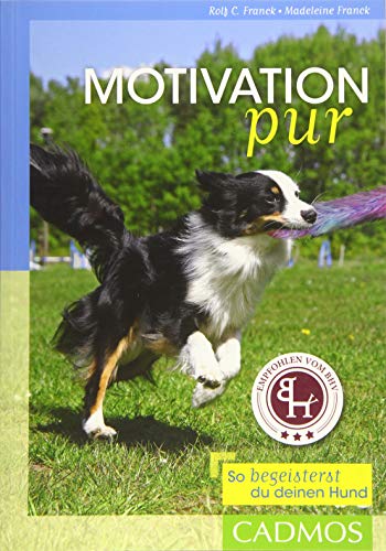 Motivation pur: So begeisterst du deinen Hund
