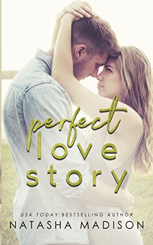 Perfect Love Story (Love Series, Band 1)