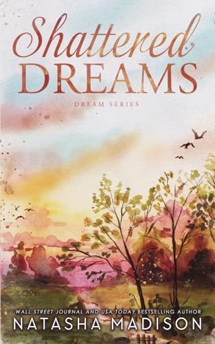 Shattered Dreams: A small town, enemies to lovers, forbidden romance (Dream Series book 1) von Independently published