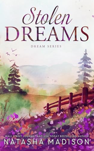 Stolen Dreams: A single dad, workplace, enemies to lovers, age gap romance (Dream Series Book 4) von Independently published