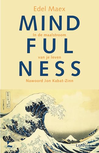 Mindfulness: in de maalstroom van je leven von Lannoo