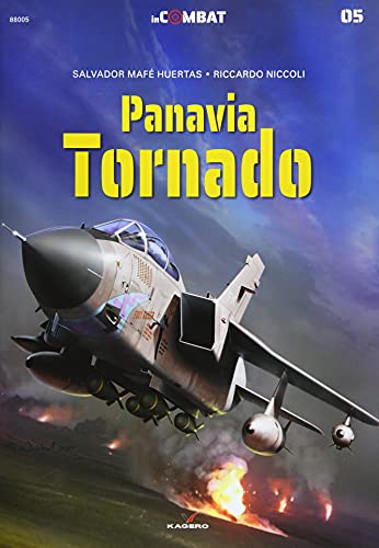 Panavia Tornado (In Combat)