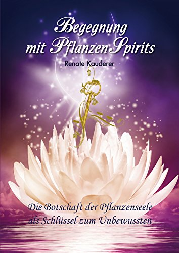 Begegnung mit PflanzenSpirits (mit Kartenset) von print-verlag