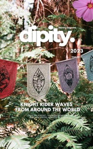 Dipity Literary Magazine Issue #3 (Knight Rider Waves): Softback Economy von Blurb