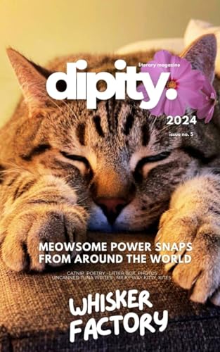 Dipity Literary Magazine Issue #5 (WHISKER FACTORY): Softback Economy von Blurb