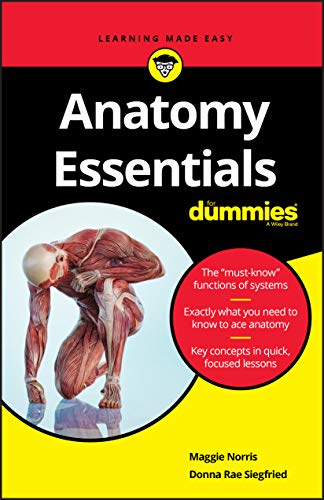Anatomy Essentials For Dummies von For Dummies