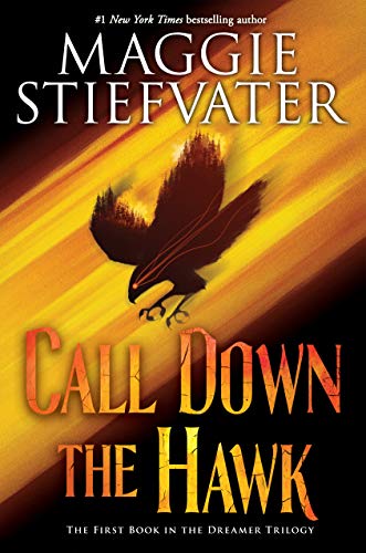 Call Down the Hawk: Volume 1 (Dreamer Trilogy, 1, Band 1)
