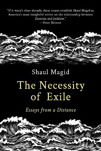 The Necessity of Exile: Essays from a Distance (Political Imagination)