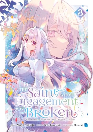 The Saint Whose Engagement Was Broken - Tome 3 von Meian