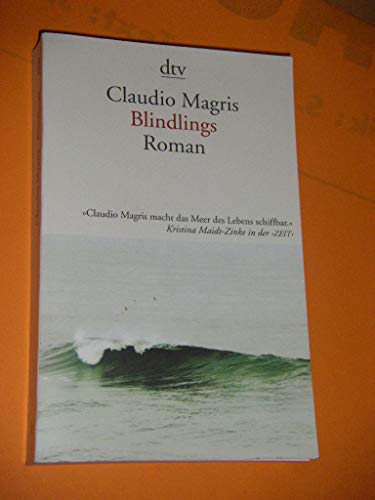 Blindlings: Roman