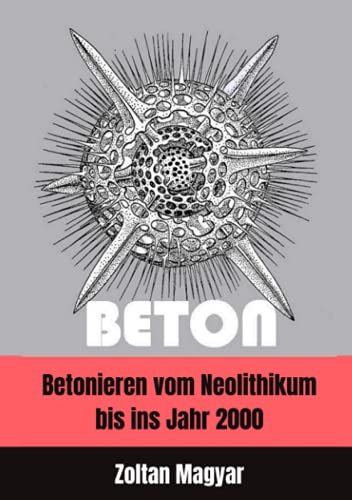 Beton: Betonieren vom Neolithikum bis ins Jahr 2000 von minifanal