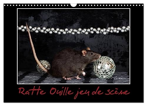 Ratte Ouille jeu de scène (Calendrier mural 2025 DIN A3 vertical), CALVENDO calendrier mensuel: Petite ratte en spectacle.