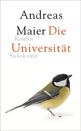 Die Universität: Roman (Ortsumgehung)