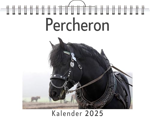 Percheron - (Wandkalender 2025, Kalender DIN A4 quer, Monatskalender im Querformat mit Kalendarium, das perfekte Geschenk) von FlipFlop