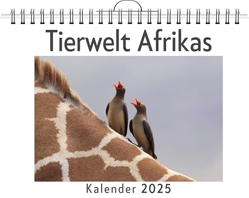 Tierwelt Afrikas - (Wandkalender 2025, Kalender DIN A4 quer, Monatskalender im Querformat mit Kalendarium, das perfekte Geschenk) von FlipFlop