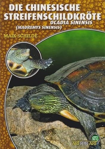 Die Chinesische Streifenschildkröte: Ocadia sinensis (Mauremys sinensis) (Buchreihe Art für Art Terraristik) von NTV Natur und Tier-Verlag