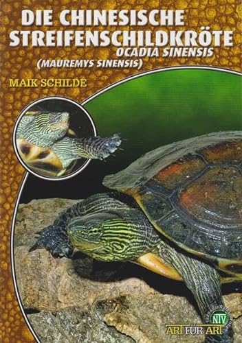 Die Chinesische Streifenschildkröte: Ocadia sinensis (Mauremys sinensis) (Buchreihe Art für Art Terraristik) von NTV Natur und Tier-Verlag