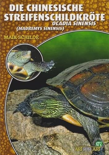 Die Chinesische Streifenschildkröte: Ocadia sinensis (Mauremys sinensis) (Buchreihe Art für Art Terraristik)