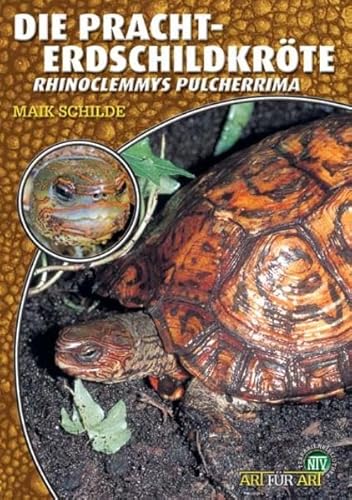 Die Pracht-Erdschildkröte: Rhinoclemmys pulcherrima (Buchreihe Art für Art Terraristik)