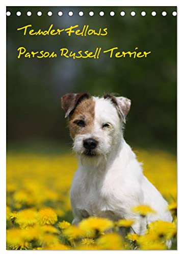 Tender Fellows - Parson Russell Terrier (Tischkalender 2024 DIN A5 hoch), CALVENDO Monatskalender
