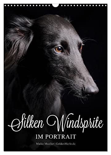 Silken Windsprite im Portrait (Wandkalender 2024 DIN A3 hoch), CALVENDO Monatskalender