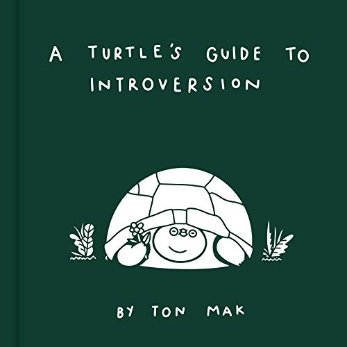 A Turtle's Guide to Introversion: Ton Mak