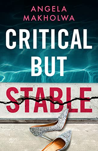 Critical But Stable von Lake Union Publishing