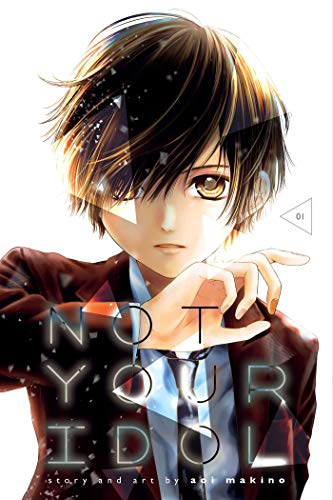 Not Your Idol, Vol. 1 (NOT YOUR IDOL GN, Band 1) von Simon & Schuster